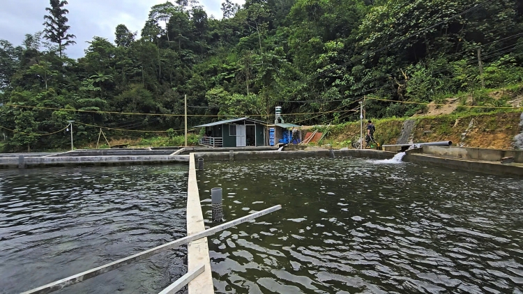 Chương trình phát thanh quam Tay, thứ 6 mự 12 căm bườn 9 pì 2025