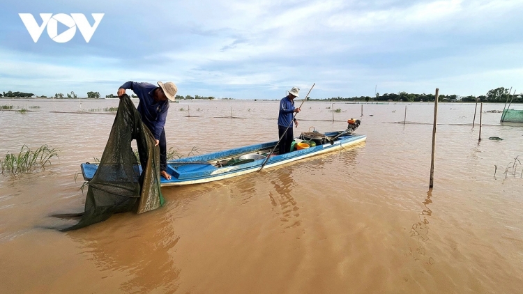 រដូវទឹកជំនន់ឆាប់មកដល់ ប្រជាជនតំបន់ដើមប្រភព ដីសណ្ដទន្លេគឺវឡុង ម្នីម្នាទទួលអំណោយពីធម្មជាតិ។