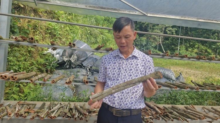 Ngon tô thứ 5 mự 18 căm bườn 9 pì 2025 – “ Côn uồn cón” choi po hay me na Xuân Á dệt hăng té cò que