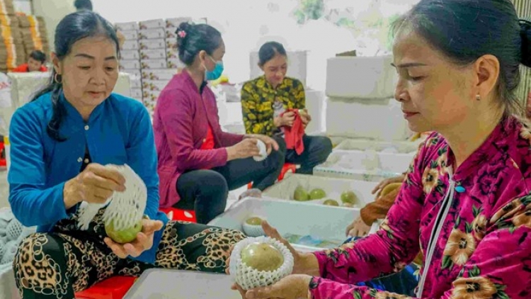 PAGLAONG ASAR SIAM, BA BAOH KAYAU CAN THO TABIAK DUNYA 