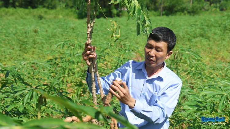 QUẢNG NGÃI LÊY VÊY C’LÂNG BH’RỢ CHA GROONG PR’LUH TA CRÊÊU HI LA A’RONG