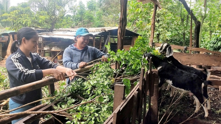 Tŏk iŏk jên tơgŭm djru-Kla hre mơmat tat, jơhngơ̆m pran vă kon pơlei choh jang sa Dak Lăk tơplih ‘nao