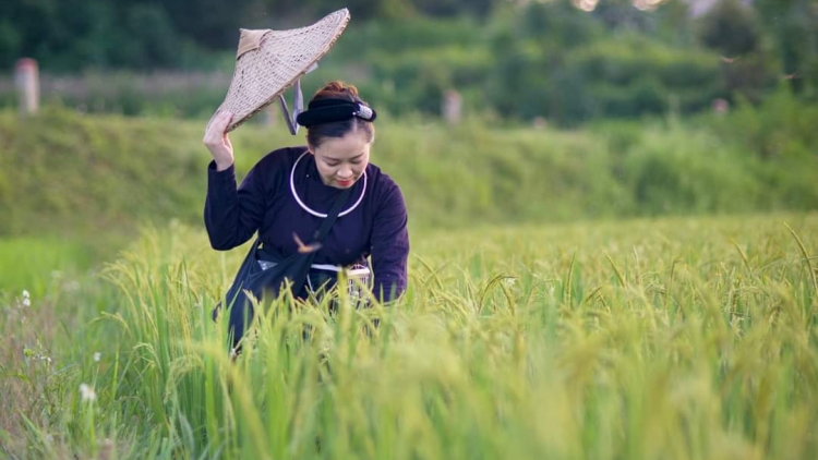 CHƯƠNG TRÌNH KHAY HENG TÀY - NÙNG  (Thứ Bảy- Vằn 16/8/2025)
