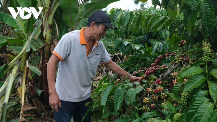 ANGAOK JALAN “SALIH BAHRAU” XA BHUM CEIK DI DONG NAI