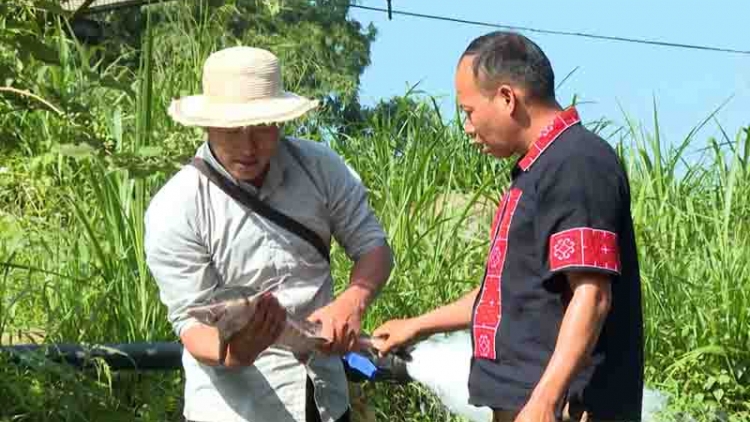 Tsaz yênhx nta suôz luk Hmôngz hnuz xiêz 04.9.2025