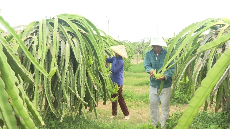 Mô đô̆i hneăng hdrối nah mơngế Chăm tơkâ hluâ pá puât pro kro mơdrŏng
