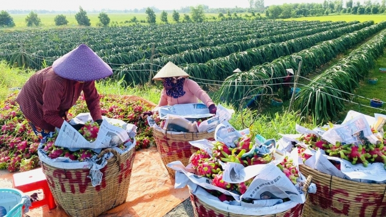 BRUK NGAK NONG NDONG NAI RAK TAGOK 