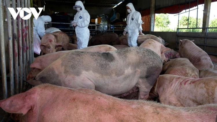 PR’LUH PR’ZRUÔH A’ỌC CHÂU PHI NĂC ƠY CHA GROONG LIÊM CHOOM