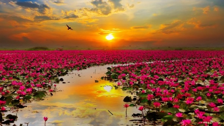 Danak dak sap Cam 27_09_2025