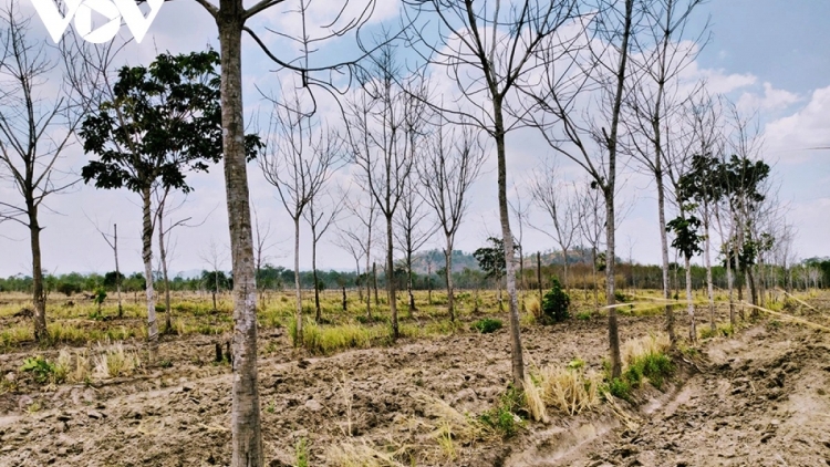 Gia Lai séa ngăn tơdroăng pơhlêh kong pêt kơxu