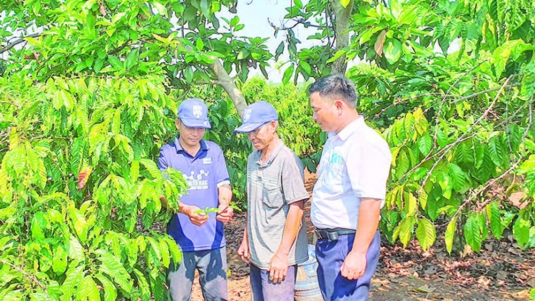 MA NƯIH BHRIÊL G’LĂNG BHRỢ CHA CA VAN TƠỢ BÂC PR’ĐHANG BHRỢ CHA
