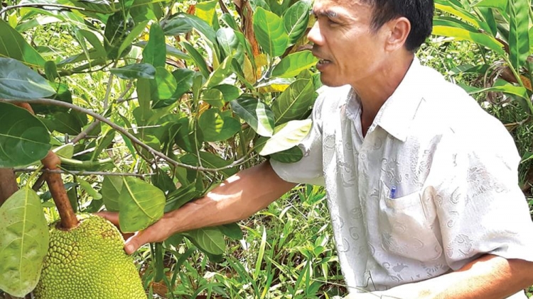 BH’RỢ BHƯƠN - A’BÓC - C’ROỌL: BHIỆC BHRỢ CHA LIÊM CHOOM