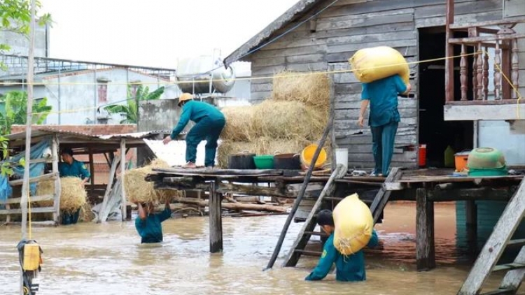 ‘Mi tih pơm ăn đak lơ̆p lơ xăh tơ̆ dôm dêh char Tây Nguyên 