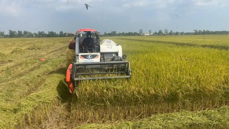 PATAGOK GAH NGAK NONG KHANG KAJAP HAONG 1 TRIEU HA PADAI ASAR SIAM