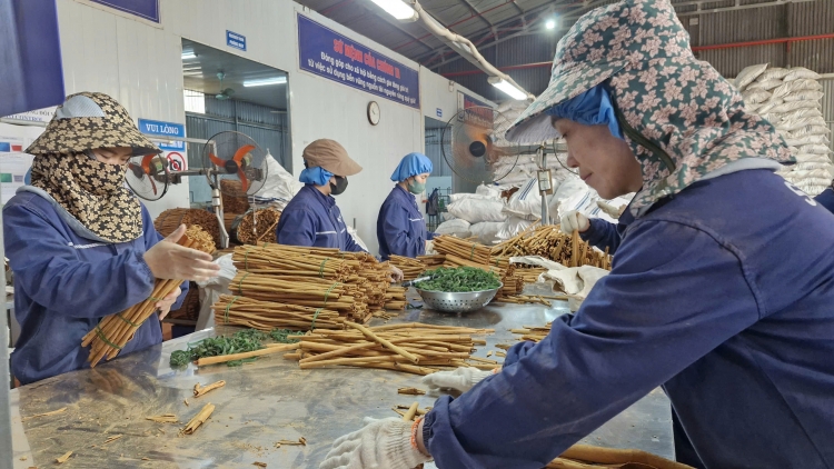 Ngon tô thứ 6 mự 03 căm bườn 10 pì 2025: Tạ khù ngai đì vạy pi nọng chựa nọi côn pọm cắp bản mương nhại khảu pàng xi mắư