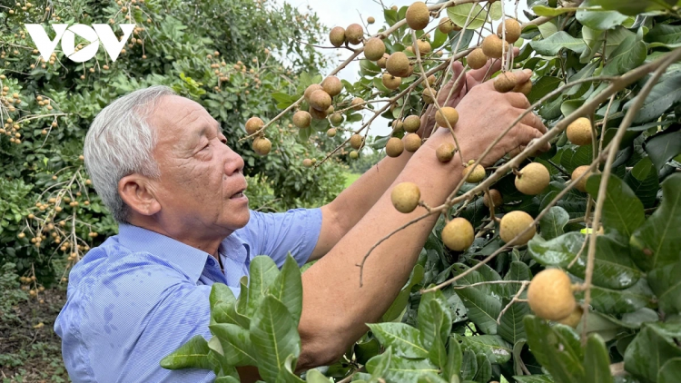 ពត៌មាន​ម៉ោង១៥