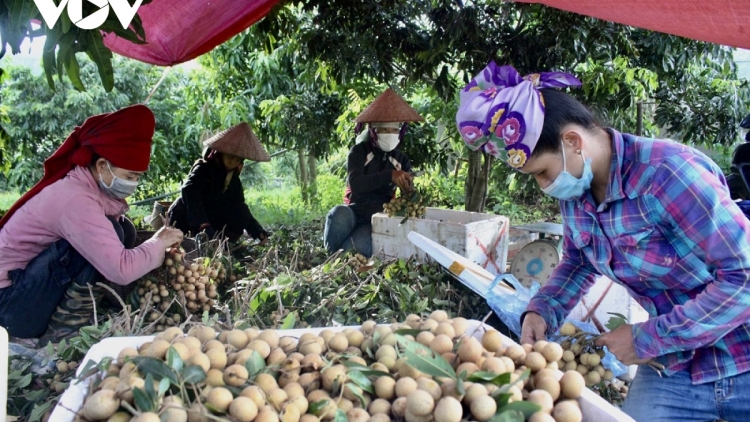 Xor xưv faz Bắc hnuz 8-9-2025