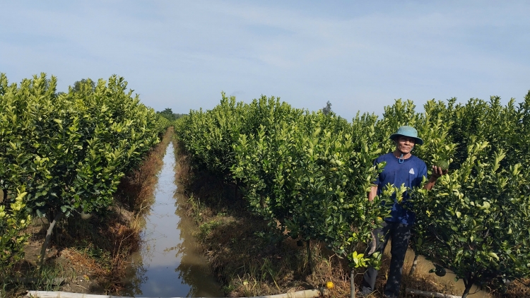 ចម្រៀងតាមមូលបទ