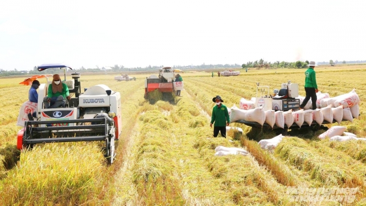 RAMIK PONG RAH HADEI YUAK KUAK MENG CHE PHAM SINH HOC