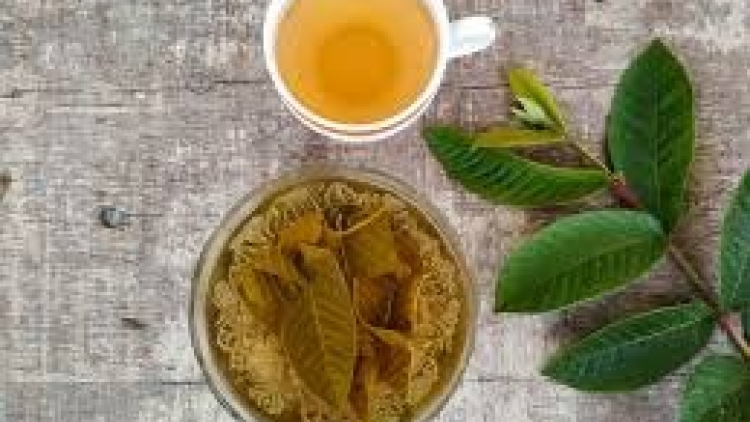 BẠI MÒN ĐÂY CÚA BÂƯ MÁC ỘI VẠ KỈ SLẮNG CẠ CẨN DIẾU