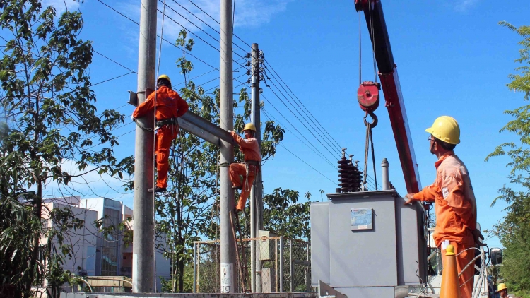Phai paz nhây phiến