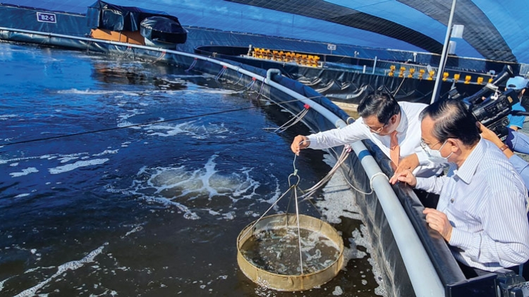 Bùng pẻnh pun bliẻo ziêm thóng hạ cuối quýa khziêu cuối
