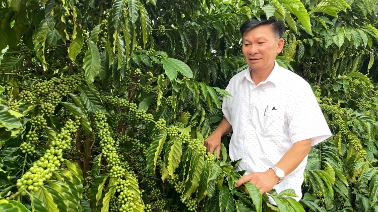 Sàh Gào, càr Gia Lai đòm jat niam bơhiàn cau ling khin cha jak chài nàng brồ guh pràn kơl dang 