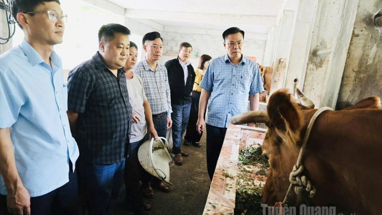 BẠI CẦN HẾT CỐC CẤP ỦY, ĐẢNG VIÊN HẾT CÓN