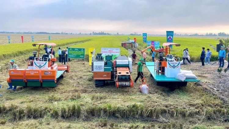 TAL THUN 2035, BRUK PALA DRAK TRUN TAKIK ABIH 15% TATHUAK ATHAK NERAK SANG CAMIN