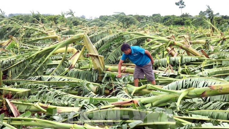 Tsaz yênhx nta suôz luk Hmôngz hmo 27-10-2025