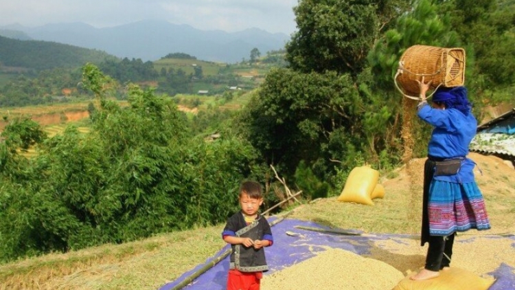 Cêr lov jêv hnuz ciêz 19-10-2025