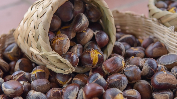 CHƯƠNG TRÌNH KHAY HENG TÀY - NÙNG (Thứ Sáu, vằn xo 3 bươn 10 pi 2025)