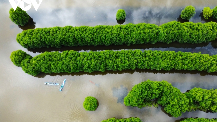  បញ្ហាប្រែក្លាយ«បង្គាទៅជាលុយពាន់លានដុល្លា អគ្គសនីដើរដោយឋាមពលខ្យល់រាប់ម៉ឺន MWនៅកាម៉ាវ។