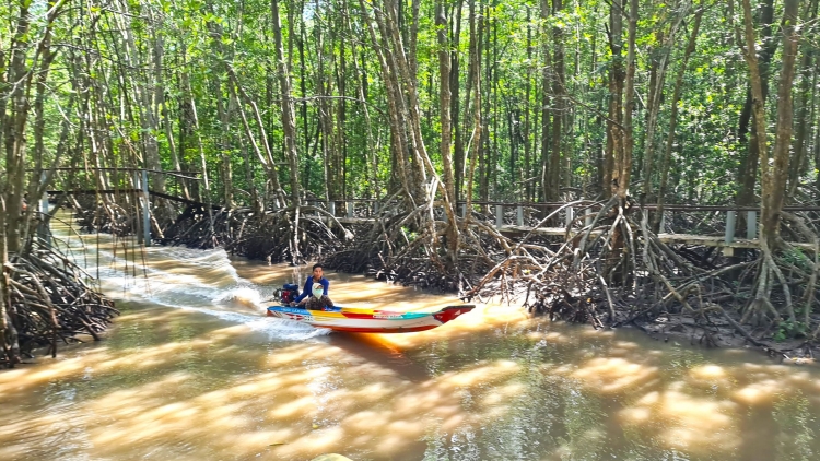 ការរៀបចំរចនាសម្ព័ន្ធផលិតកម្មឡើងវិញ ពង្រីកជីវភាពរស់នៅ៖ កាម៉ៅមានដៅទិសកាត់បន្ថយភាពក្រីក្រប្រកបដោយចីរភាព