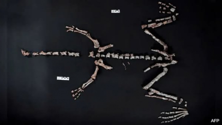 ពត៌មាន​ម៉ោង១៥