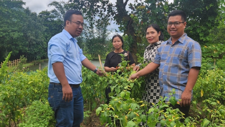 PA XIÊR ĐHA RỰT BẤC ĐĂH ĐHỊ DA DING CA COONG A LƯỚI
