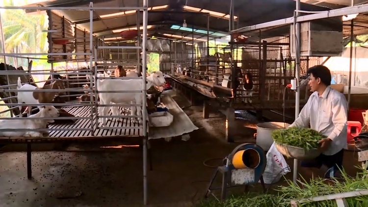 ពត៌មាន​ម៉ោង៦