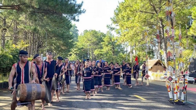 Bài ca Nông dân Việt Nam