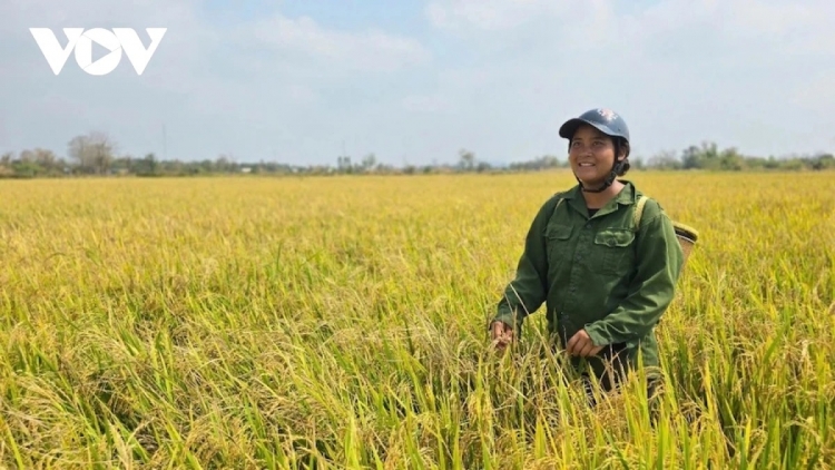 HADAH BAHRAU BHUM TAPEN NEGAR DI IA MƠ, GIA LAI