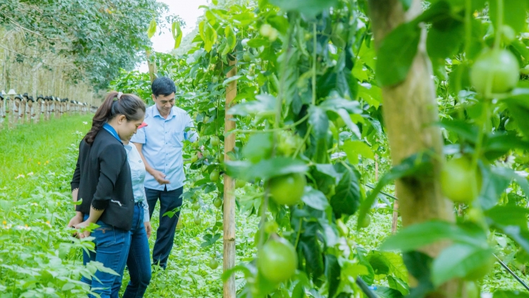 Mđĭ kyar kjăp bruă pla mjing boh kruĕ hruĕ – klei găl mrâo kơ bruă lŏ hma Lăn Dap Kngư 