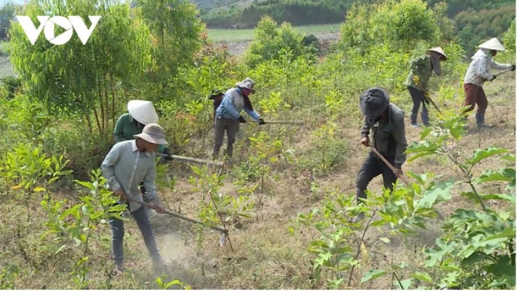 Rề ơnàng brê dơm chi dờng lơh geh jơnau sồr bơh Mpồl Tam klăc câu Âu dê 