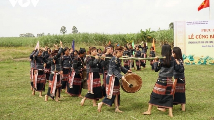Rủ nhau đi hái rau rừng