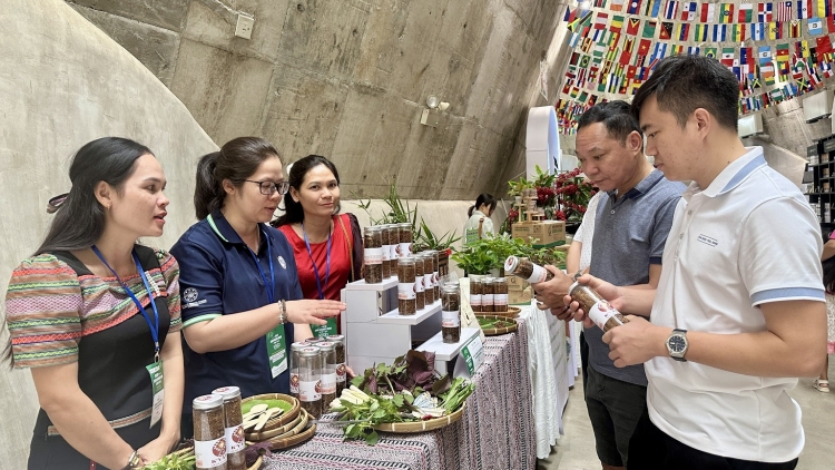 Tơlơi pơhing phrâo hrơi năm, lơ 4-10-2025