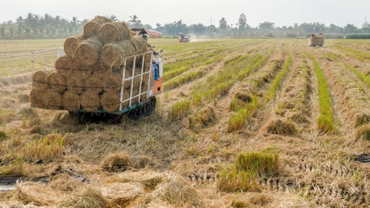 URANG NGAK NONG BHUM TANERAN KRAONG CUU LONG SALIH PONG JENG AMEH HIJAO