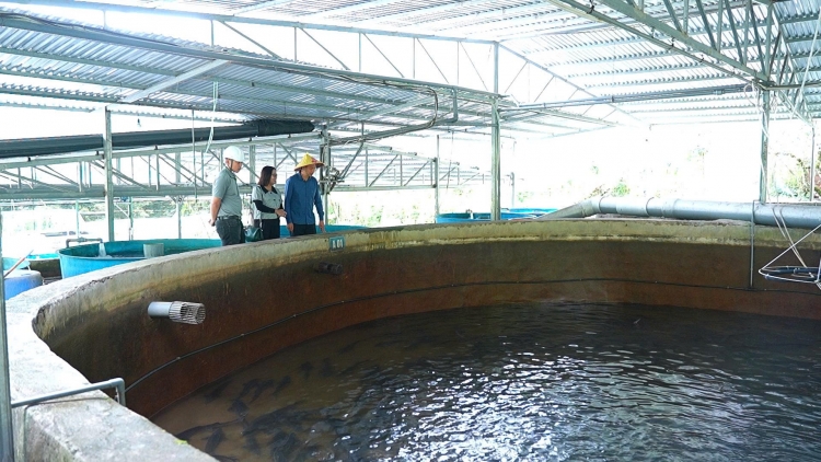 Tsaz yênhx nta suôz luk Hmôngz hnuz 27-10-2025