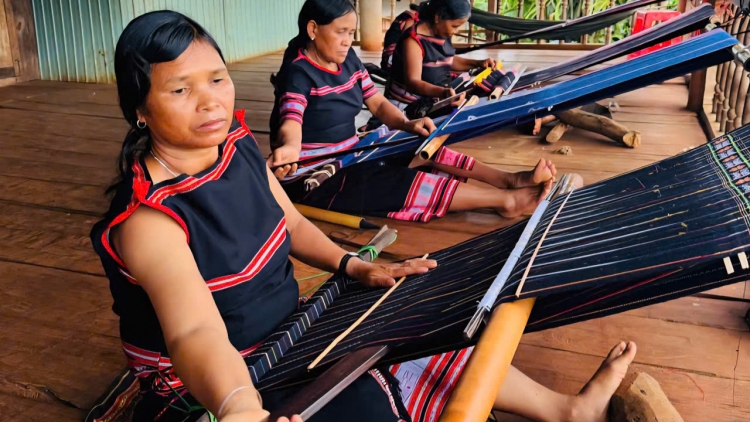 Hơnhăk tơdrong tanh brai jing tơmam pơyoa ăn tơmang lăng tơ̆ plei Kép, Gia Lai