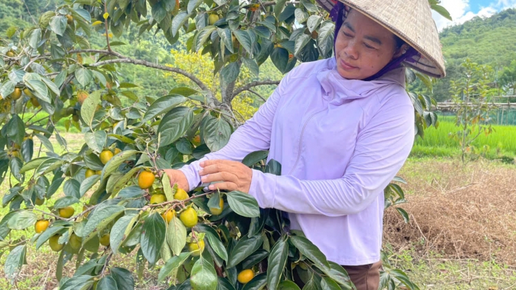 TÀNG HẾT KIN CHAY CO MÁC CHÍ TẢY CHÈN DÚ BÚNG SLUNG THÁI NGUYÊN