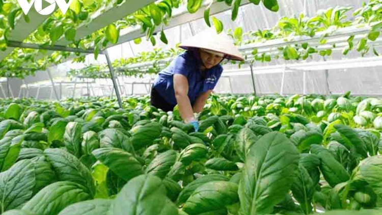 Tsaz yênhx nta suôz luk Hmôngz hnuz 15-10-2025