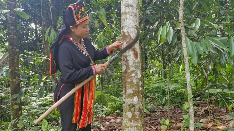 Tsaz yênhx nta suôz luk Hmôngz hnuz 23-10-2025