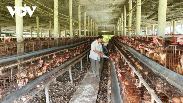 GAH RAONG GLANG NDUAC BREI KA GANAP NDAP NDA RAYA TET